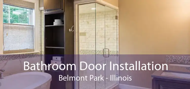 Bathroom Door Installation Belmont Park - Illinois