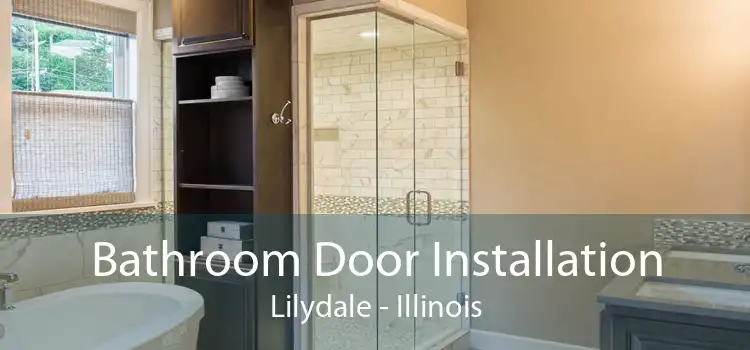 Bathroom Door Installation Lilydale - Illinois