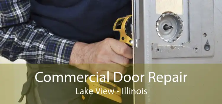 Commercial Door Repair Lake View - Illinois