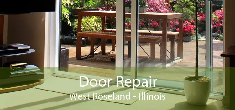 Door Repair West Roseland - Illinois