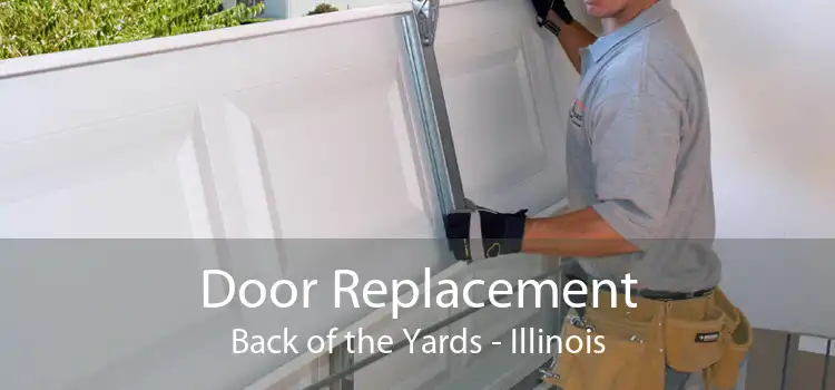 Door Replacement Back of the Yards - Illinois