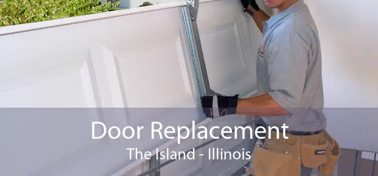 Door Replacement The Island - Illinois