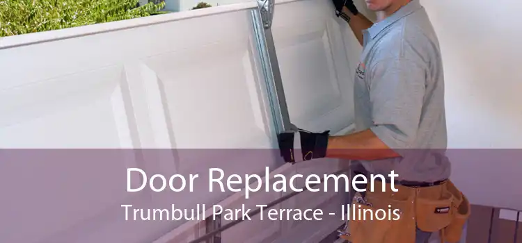 Door Replacement Trumbull Park Terrace - Illinois