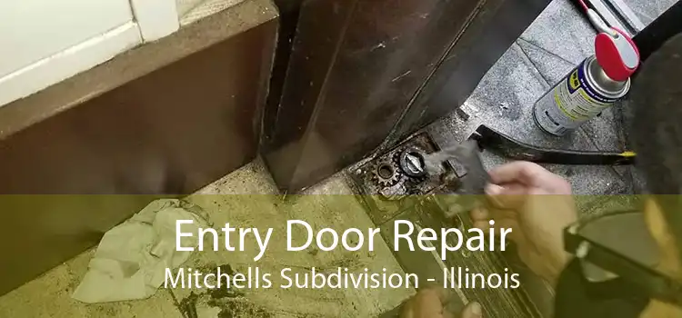 Entry Door Repair Mitchells Subdivision - Illinois