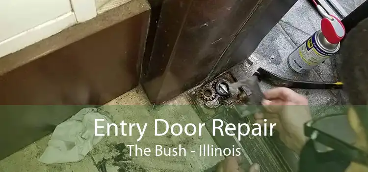 Entry Door Repair The Bush - Illinois
