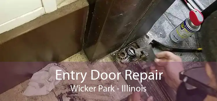 Entry Door Repair Wicker Park - Illinois