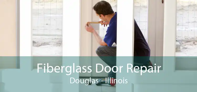 Fiberglass Door Repair Douglas - Illinois