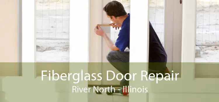 Fiberglass Door Repair River North - Illinois