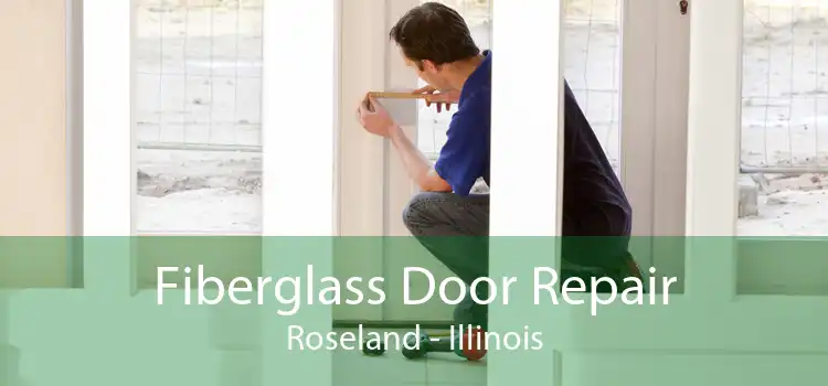 Fiberglass Door Repair Roseland - Illinois