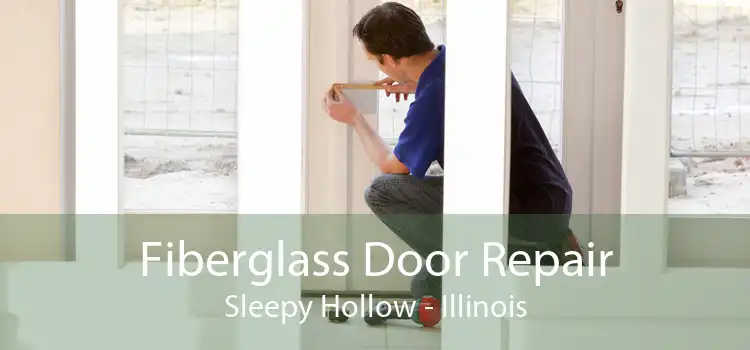 Fiberglass Door Repair Sleepy Hollow - Illinois
