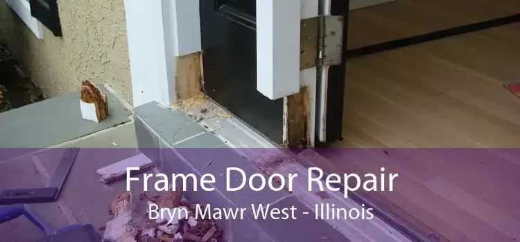 Frame Door Repair Bryn Mawr West - Illinois