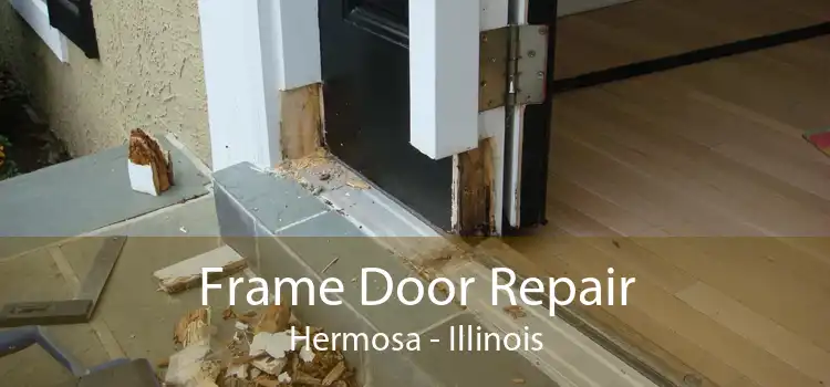 Frame Door Repair Hermosa - Illinois