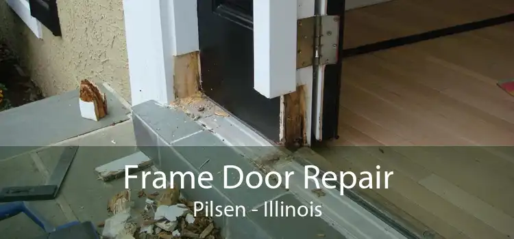 Frame Door Repair Pilsen - Illinois