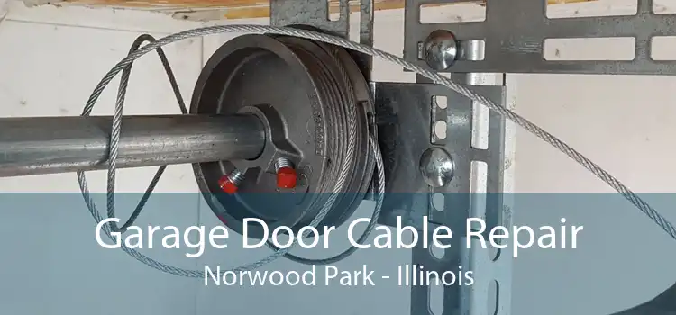 Garage Door Cable Repair Norwood Park - Illinois