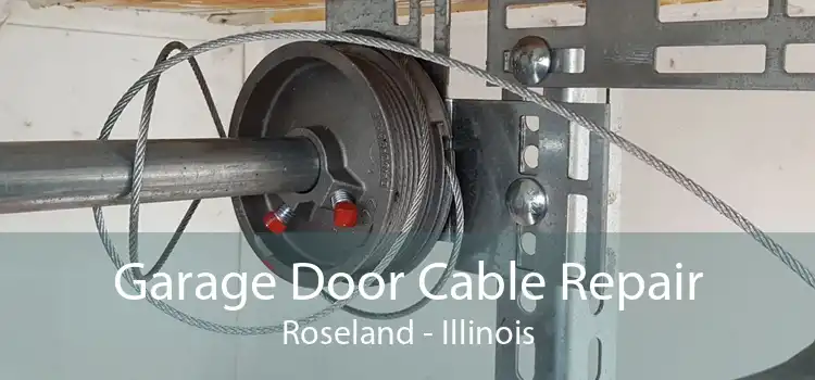 Garage Door Cable Repair Roseland - Illinois