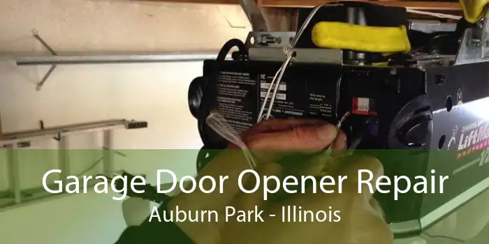Garage Door Opener Repair Auburn Park - Illinois