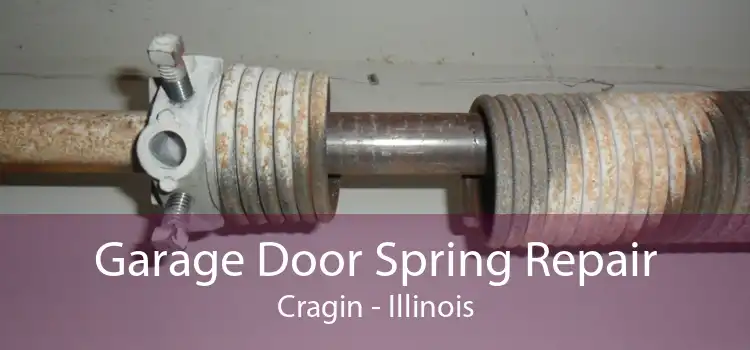 Garage Door Spring Repair Cragin - Illinois