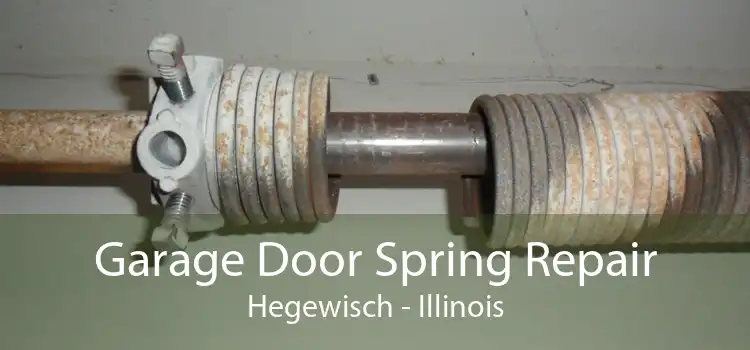 Garage Door Spring Repair Hegewisch - Illinois