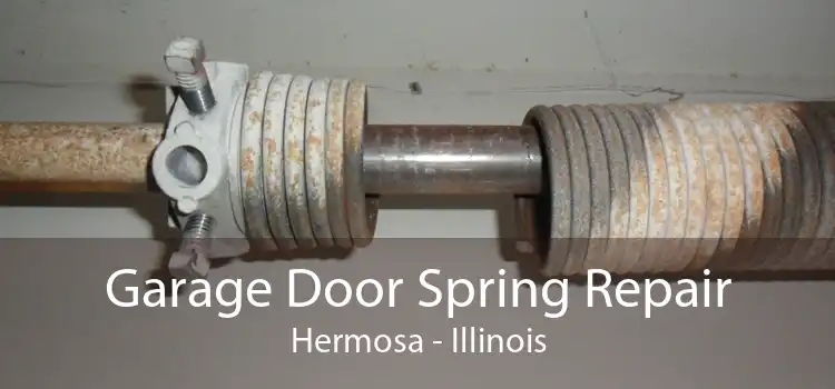 Garage Door Spring Repair Hermosa - Illinois