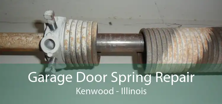 Garage Door Spring Repair Kenwood - Illinois