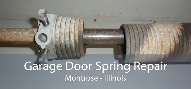 Garage Door Spring Repair Montrose - Illinois