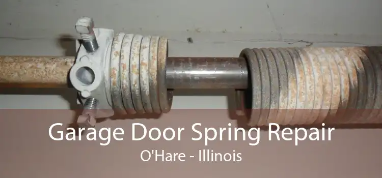 Garage Door Spring Repair O'Hare - Illinois