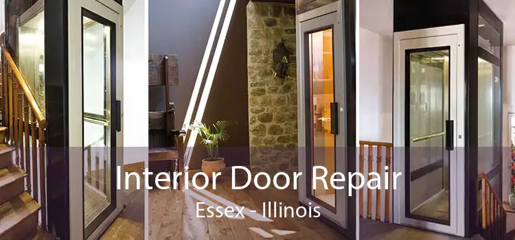 Interior Door Repair Essex - Illinois