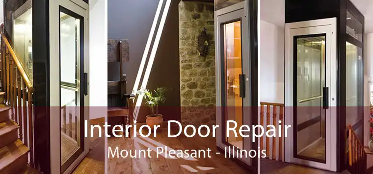 Interior Door Repair Mount Pleasant - Illinois