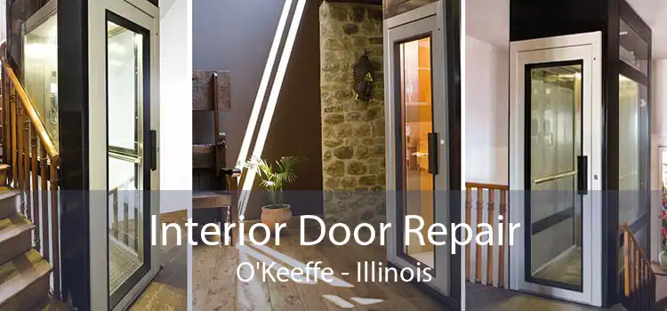 Interior Door Repair O'Keeffe - Illinois