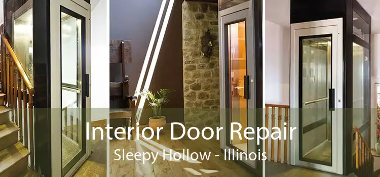 Interior Door Repair Sleepy Hollow - Illinois