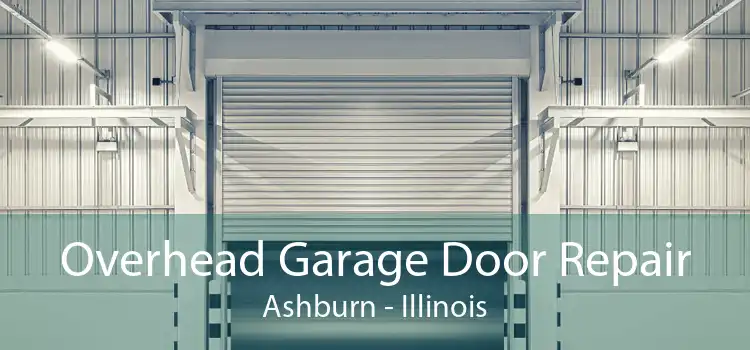 Overhead Garage Door Repair Ashburn - Illinois