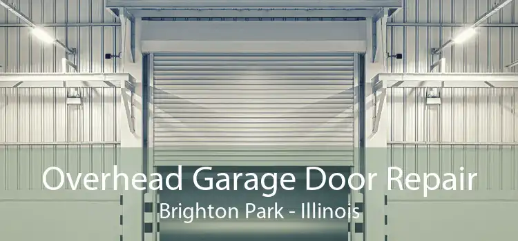 Overhead Garage Door Repair Brighton Park - Illinois