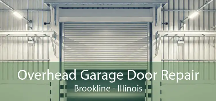 Overhead Garage Door Repair Brookline - Illinois