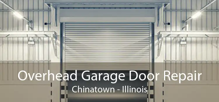 Overhead Garage Door Repair Chinatown - Illinois