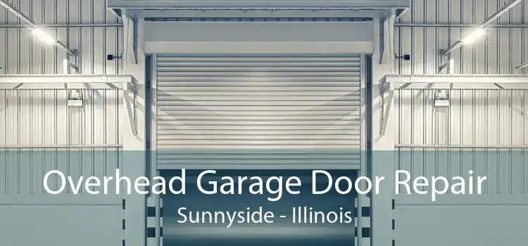 Overhead Garage Door Repair Sunnyside - Illinois