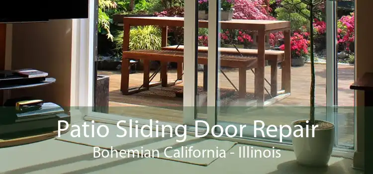 Patio Sliding Door Repair Bohemian California - Illinois