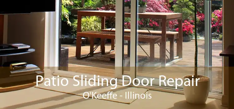 Patio Sliding Door Repair O'Keeffe - Illinois