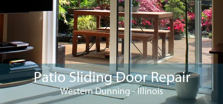 Patio Sliding Door Repair Western Dunning - Illinois