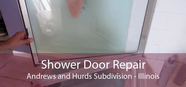 Shower Door Repair Andrews and Hurds Subdivision - Illinois