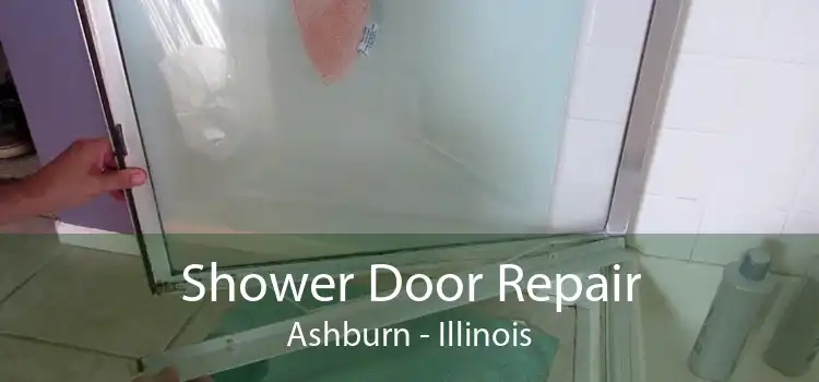 Shower Door Repair Ashburn - Illinois