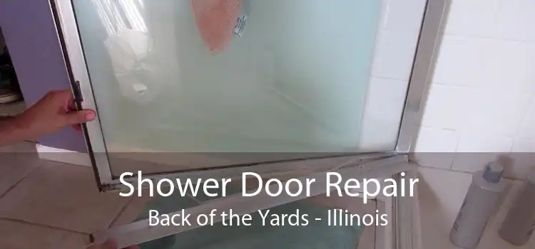 Shower Door Repair Back of the Yards - Illinois