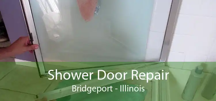 Shower Door Repair Bridgeport - Illinois