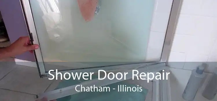 Shower Door Repair Chatham - Illinois