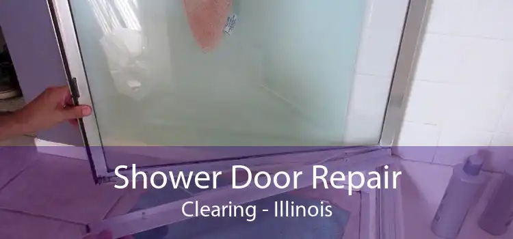 Shower Door Repair Clearing - Illinois