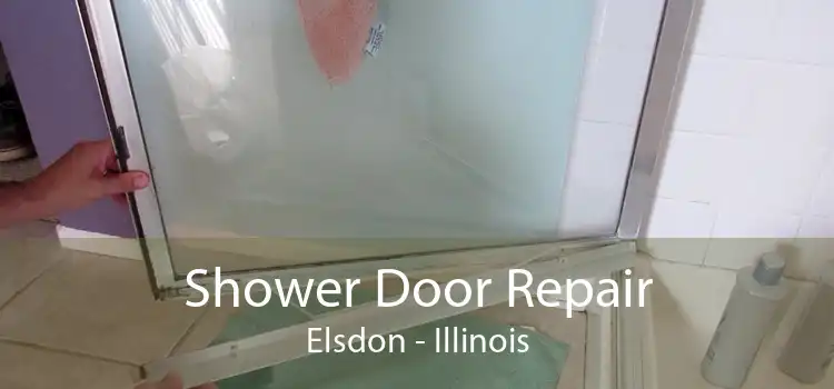 Shower Door Repair Elsdon - Illinois