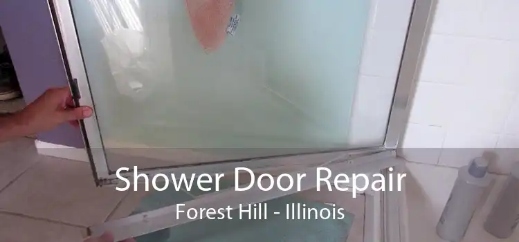 Shower Door Repair Forest Hill - Illinois