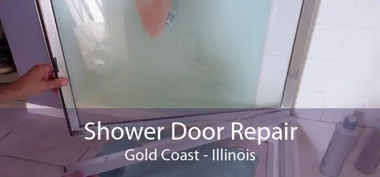 Shower Door Repair Gold Coast - Illinois