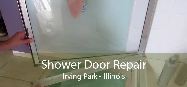Shower Door Repair Irving Park - Illinois