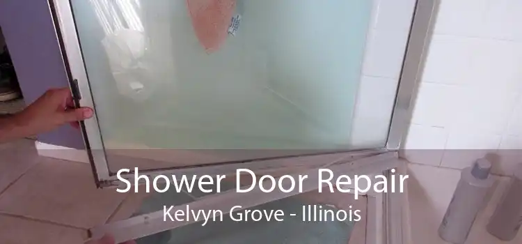 Shower Door Repair Kelvyn Grove - Illinois