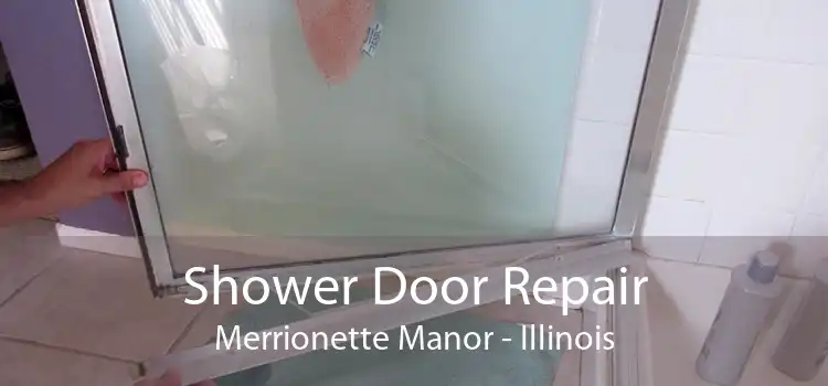 Shower Door Repair Merrionette Manor - Illinois